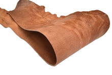 Hermann Oak® Old World Harness – Extra Heavy Veg-Tan Cowhide Belly - Buckskin Leather Co. Load image into Gallery viewer, Hermann Oak® Old World Harness – Extra Heavy Veg-Tan Cowhide Belly - Buckskin Leather Co.