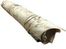 Natural Buffalo Rawhide - Buckskin Leather Co. Load image into Gallery viewer, Natural Buffalo Rawhide - Buckskin Leather Co.