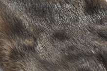 Otter Pelt - Buckskin Leather Co. Load image into Gallery viewer, Otter Pelt - Buckskin Leather Co.