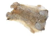 Rabbit Pelt - Buckskin Leather Co. Load image into Gallery viewer, Rabbit Pelt - Buckskin Leather Co.