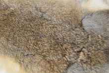 Natural Brown Load image into Gallery viewer, Rabbit Pelt - Buckskin Leather Co.