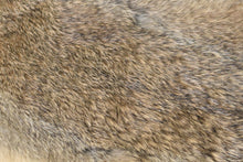 Natural Load image into Gallery viewer, Rabbit Plate - Buckskin Leather Co.