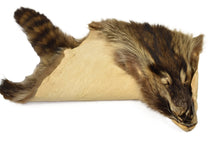 Racoon Pelt - Buckskin Leather Co. Load image into Gallery viewer, Racoon Pelt - Buckskin Leather Co.