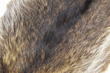 Racoon Pelt - Buckskin Leather Co. Load image into Gallery viewer, Racoon Pelt - Buckskin Leather Co.