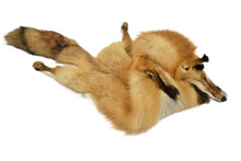 Red Fox Pelt - Buckskin Leather Co. Load image into Gallery viewer, Red Fox Pelt - Buckskin Leather Co.