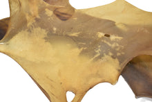 Load image into Gallery viewer, Elk Rawhide Remnants - Buckskin Leather Co.
