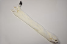 Load image into Gallery viewer, Ermine Pelt - Buckskin Leather Co.
