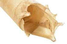 Load image into Gallery viewer, Natural Deer Rawhide - Buckskin Leather Co.
