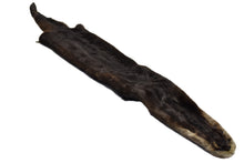 Load image into Gallery viewer, Otter Pelt - Buckskin Leather Co.
